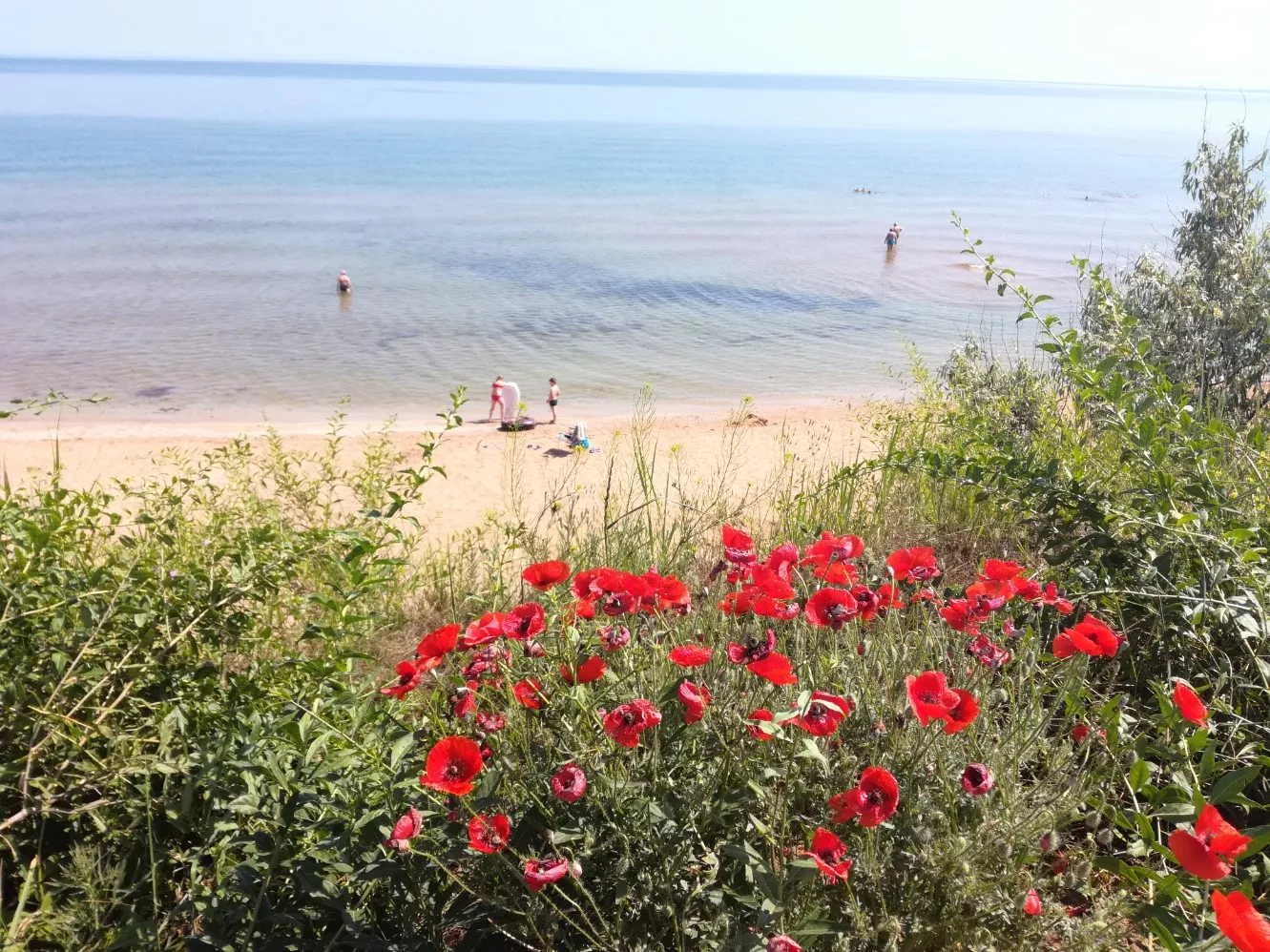 . Частный гостевой дом Касабланка. Кучугуры