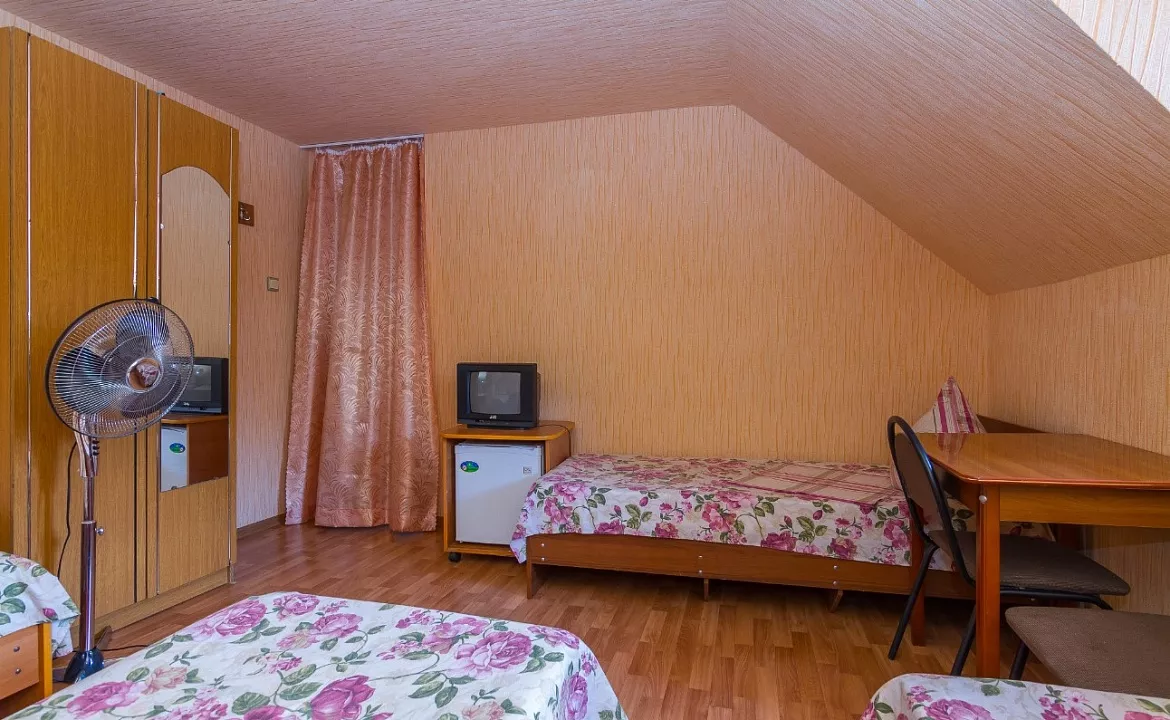 Эконом. Гостевой дом Александра. Адлер Эконом. Гостевой дом Александра. Адлер