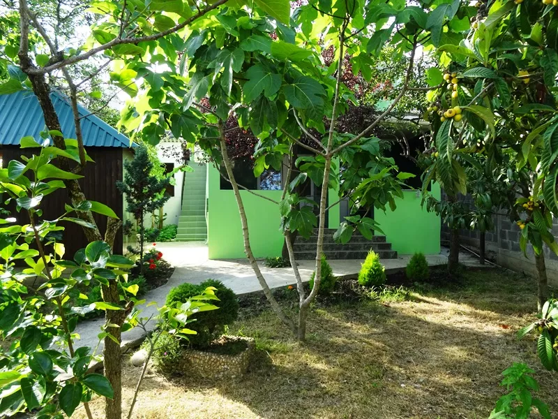 . Гостевой дом Светлана на Алычевом. Лоо . Гостевой дом Светлана на Алычевом. Лоо