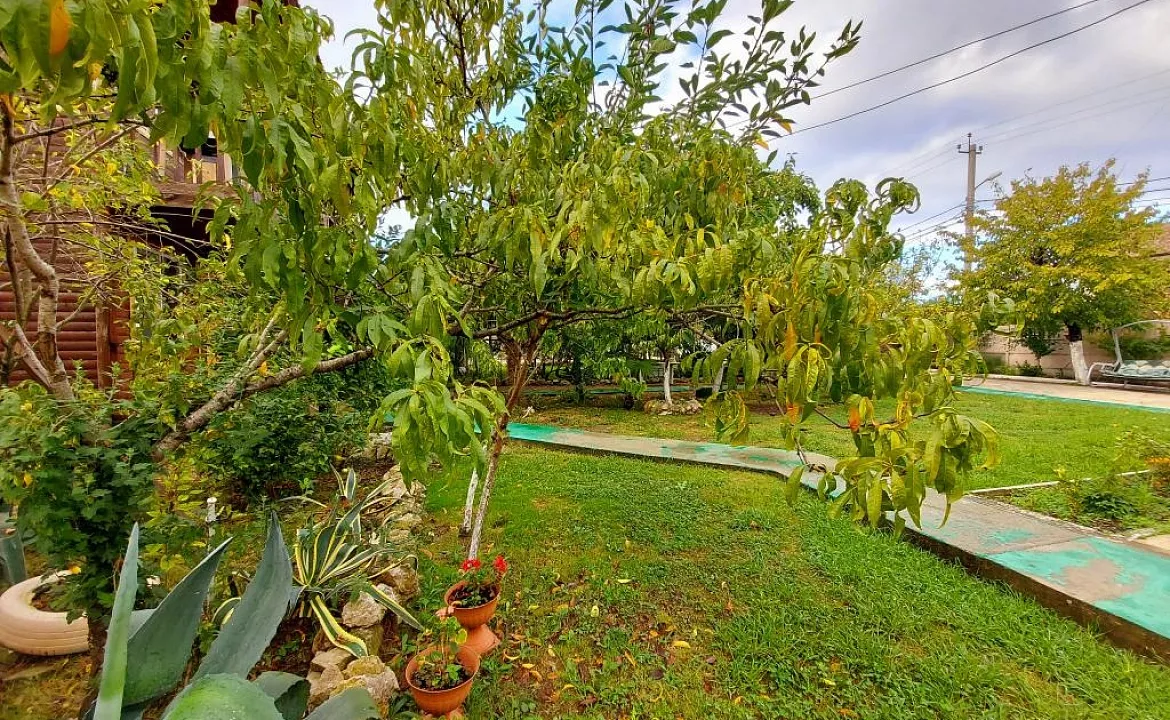 Двухместный стандарт . Гостевой дом гостевой дом Новая Гагра. Гагра