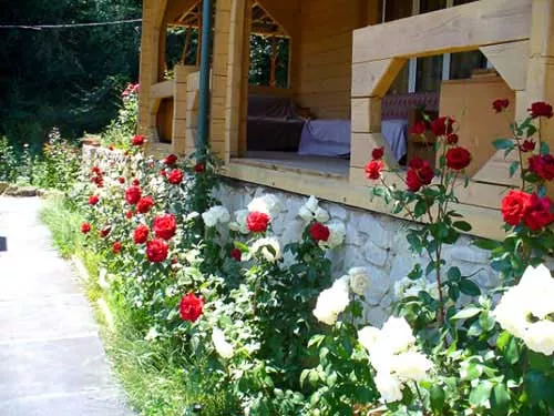 . Усадьба «Двуречье». Нижняя Кутузовка