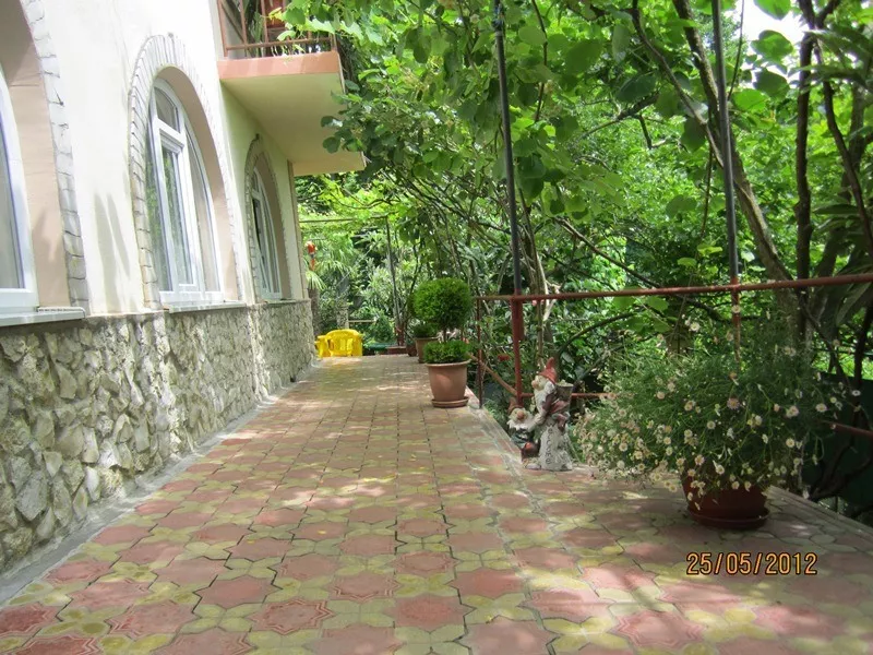 . Частный сектор "Райский уголок" - Хоста. Хоста