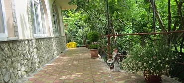 Частный сектор "Райский уголок" - Хоста