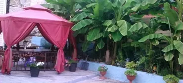 Частный сектор "Ксения" Частный сектор "Ксения"