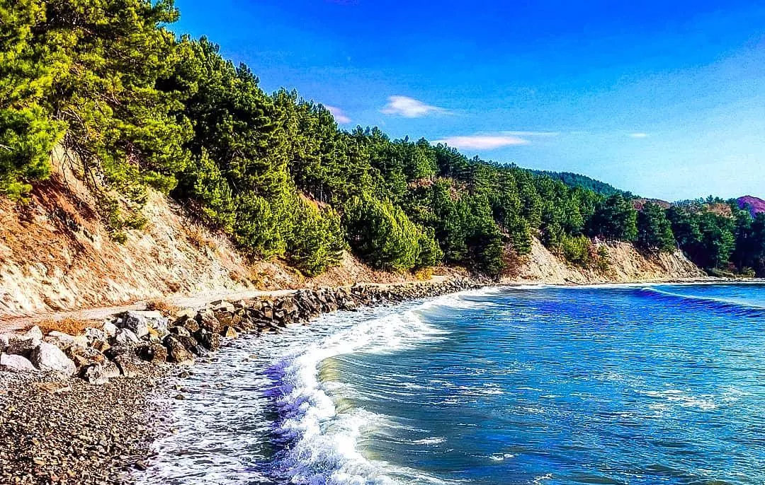 . Санаторий ФГАУ «Санаторий ФССП России «Зелёная долина». Ольгинка