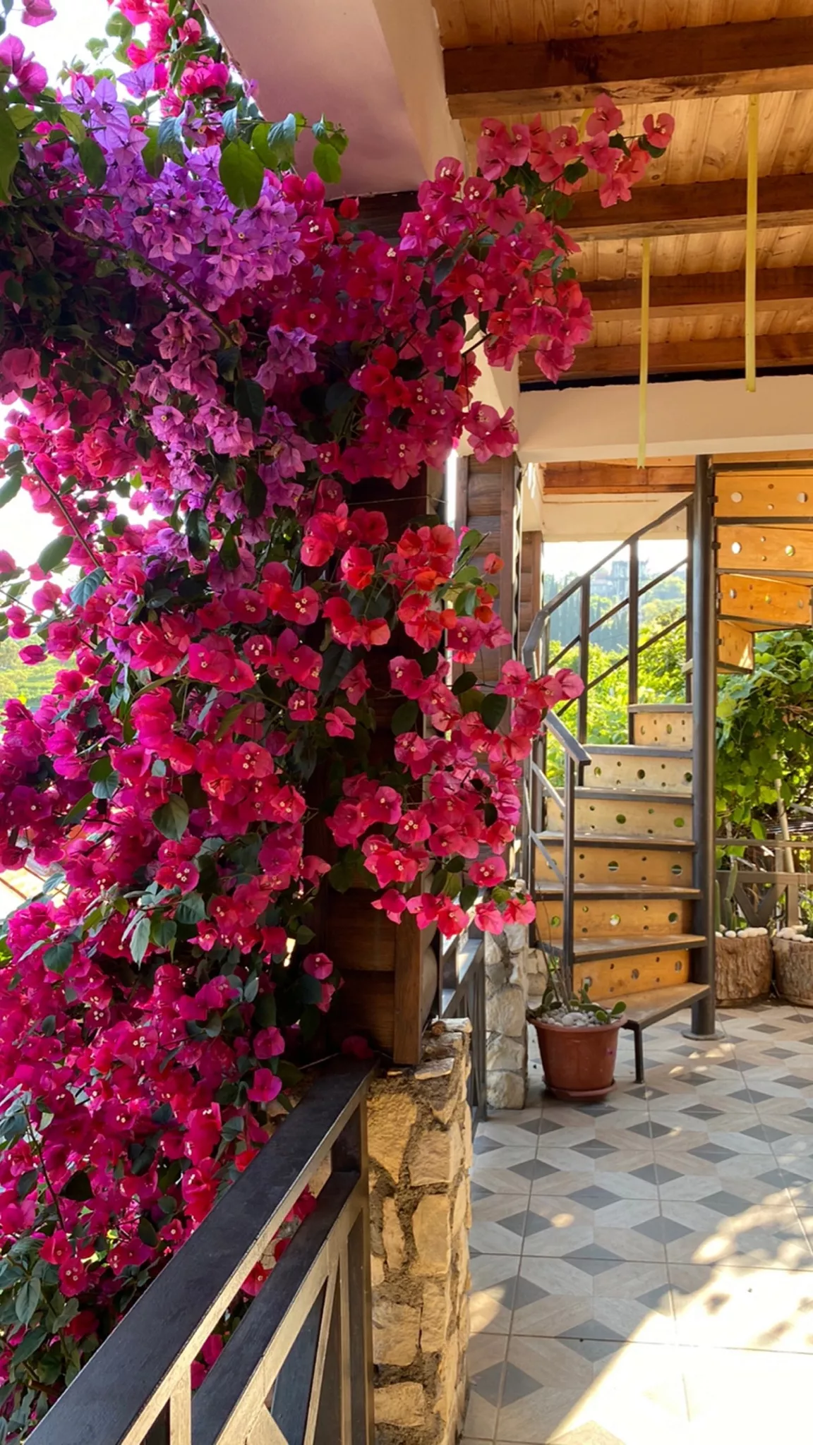 . Гостевой дом Эль Платано. Новый Афон