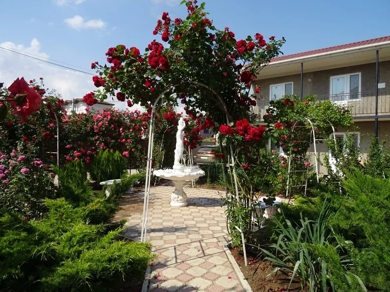 . Гостевой дом "Зеленый дворик". Саки