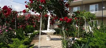 Гостевой дом "Зеленый дворик" Гостевой дом "Зеленый дворик"