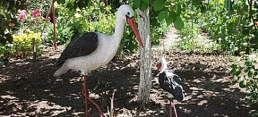 Частный сектор Тихий семейный отдых