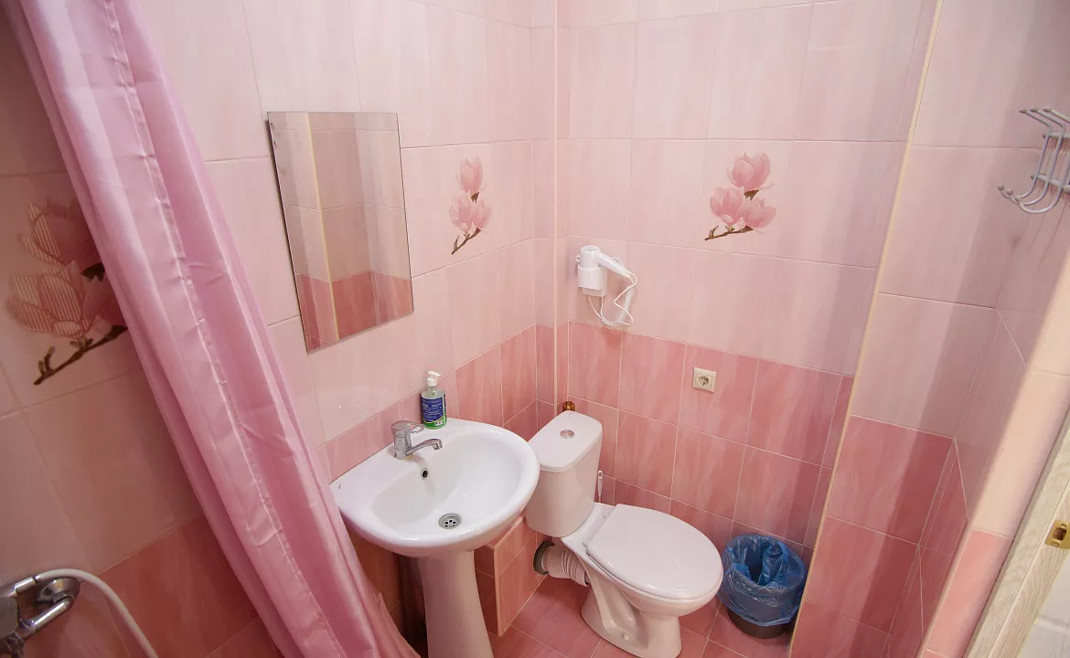 Апартаменты студия с террасой на 2-х человек. Гостевой дом "МЕЛИС". Дивноморское