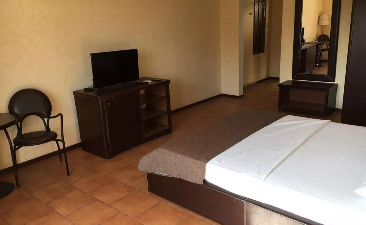 2-х местный полулюкс видом на бассейн (без балкона). Отель "Феличи". Витязево 2-х местный полулюкс видом на бассейн (без балкона). Отель "Феличи". Витязево