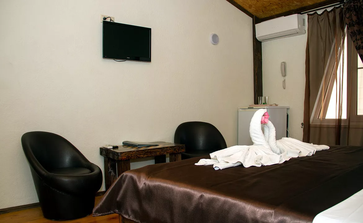 Стандартный 2-х местный номер (Double) (2/3). Отель "ПОСЕЙДОН". Гагра