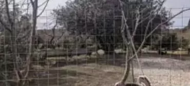 Гостевой дом Дом на Эшба 