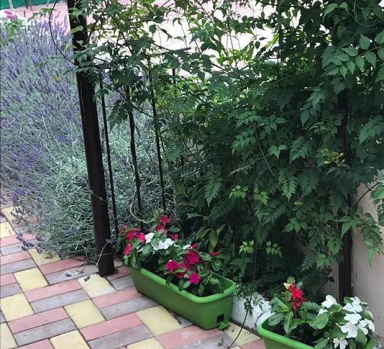 . Гостевой дом "Ласточка" - Небуг. Небуг