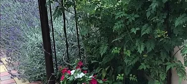 Гостевой дом "Ласточка" - Небуг