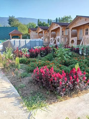 . Гостевой комплекс "Эдем". Новый Афон