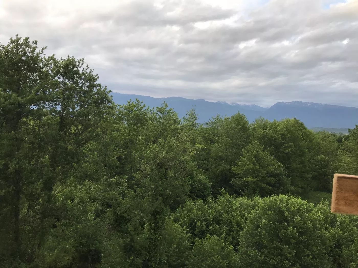 . Гостевой дом "Золотые пески". Гудаута