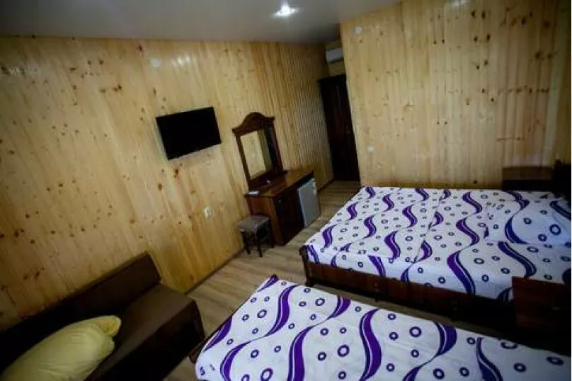 2, 3, 4-х, 5-ти местный «Люкс». Гостевой дом Олеандр. Гагра