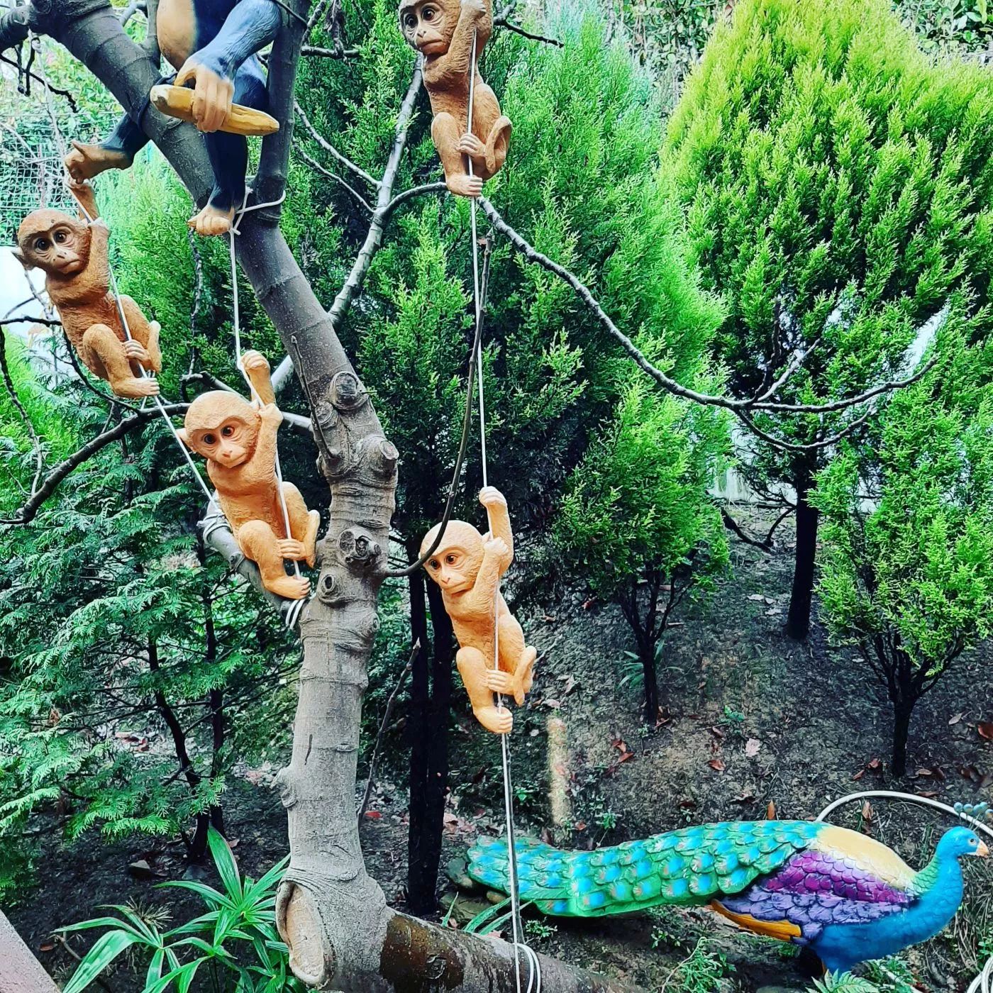 . Частный сектор "Райский уголок" - Хоста. Хоста