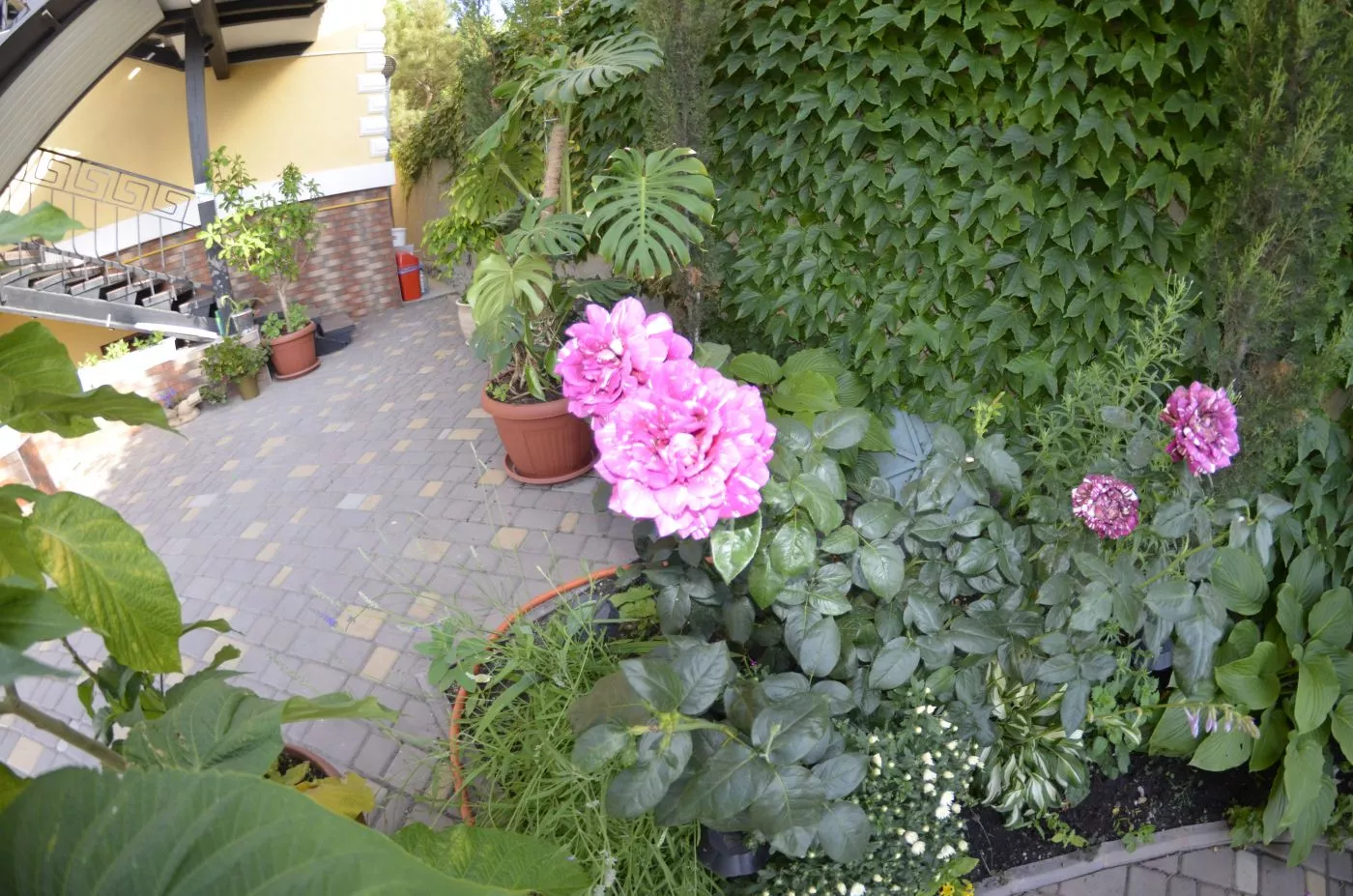 . Отель Гостевой дом «У Тещи-2». Феодосия