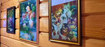 Гостевой комплекс «Солнышно»