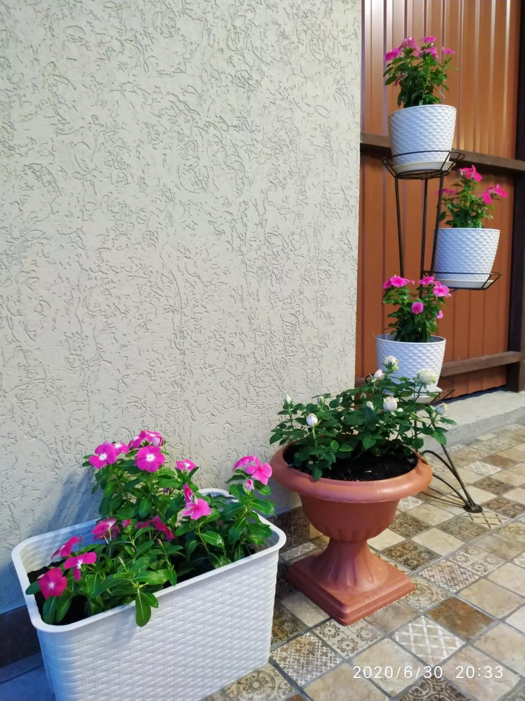 . Частный сектор Гостевой дом "Leto". Кабардинка . Частный сектор Гостевой дом "Leto". Кабардинка