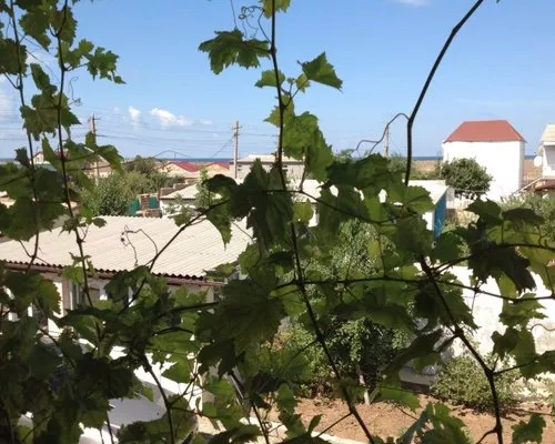 . Гостевой дом На земляничиной 288. Заозерное