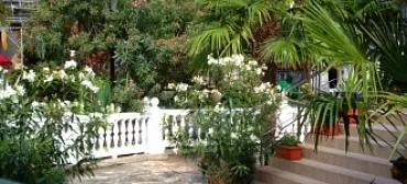 Гостиница «Аллигатор»