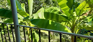 Гостевой дом "Ника" - Совет-Квадже Гостевой дом "Ника" - Совет-Квадже