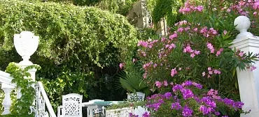 Пансионат "Вилла-Луиза"