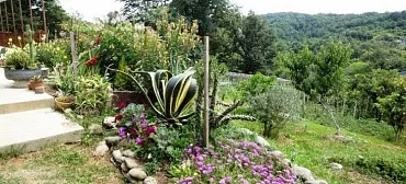 Частный сектор "Пейзаж"