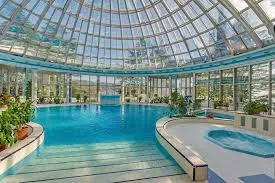 . Санаторий Мыс Видный. Хоста