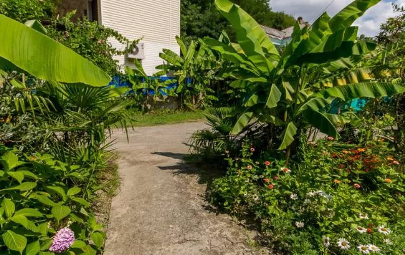 . Гостевой дом "У Татьяны". Лазаревское . Гостевой дом "У Татьяны". Лазаревское