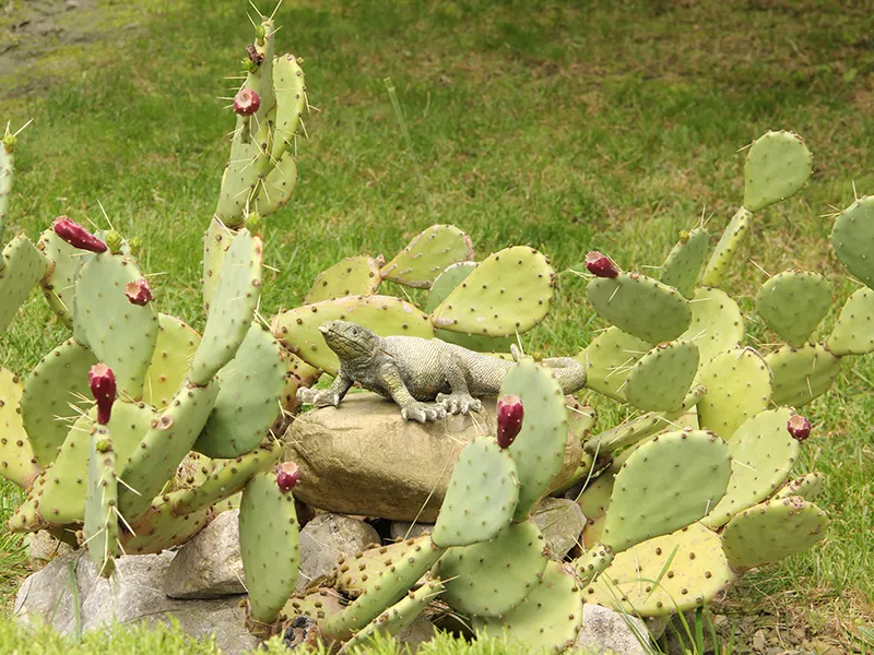 . Гостевой дом "Маретель". Адлер