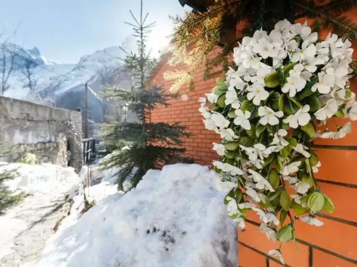 . Гостиница «Стелла». Домбай-гостиницы