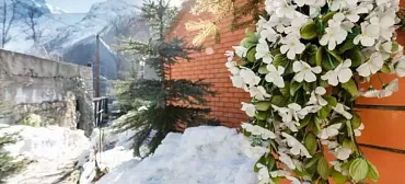 Гостиница «Стелла»