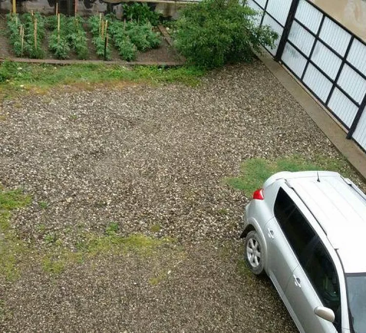 . Гостевой дом "Желтый дом". Солоники