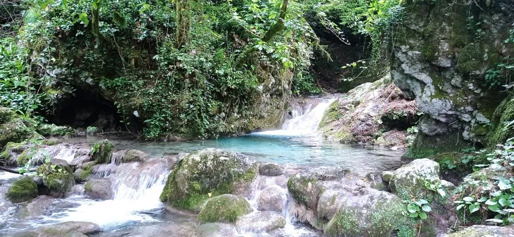 . Гостевой дом "Пантера". Гагра