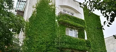 Гостевой дом «Летний»