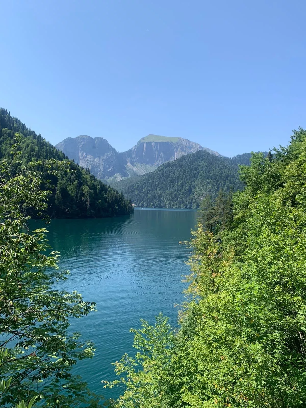 . "Delis" (Делис). Гагра