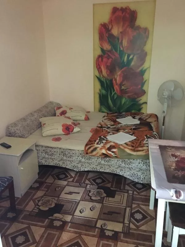 . Частный сектор "На Калараш Василиса". Лазаревское