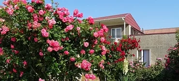 Гостевой дом "Зеленый дворик" Гостевой дом "Зеленый дворик"