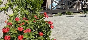 Гостевой комплекс Шезлонг 