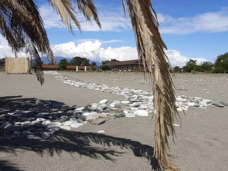 . Гостевой дом Paris . Пицунда