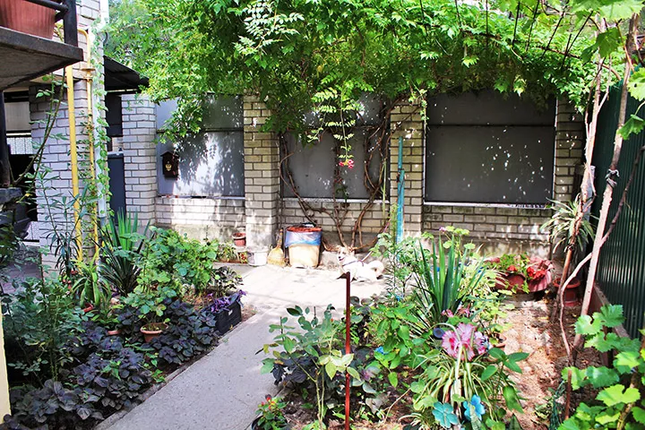 . Частный сектор Елена. Геленджик