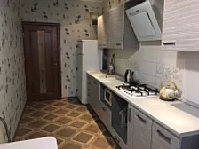 1-комнатная квартира Античный 64/1 "