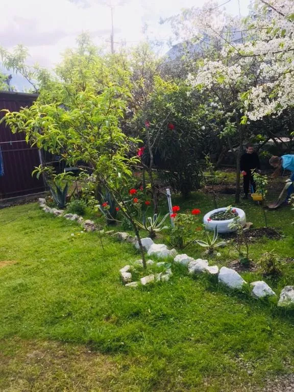 . Гостевой дом гостевой дом Новая Гагра. Гагра