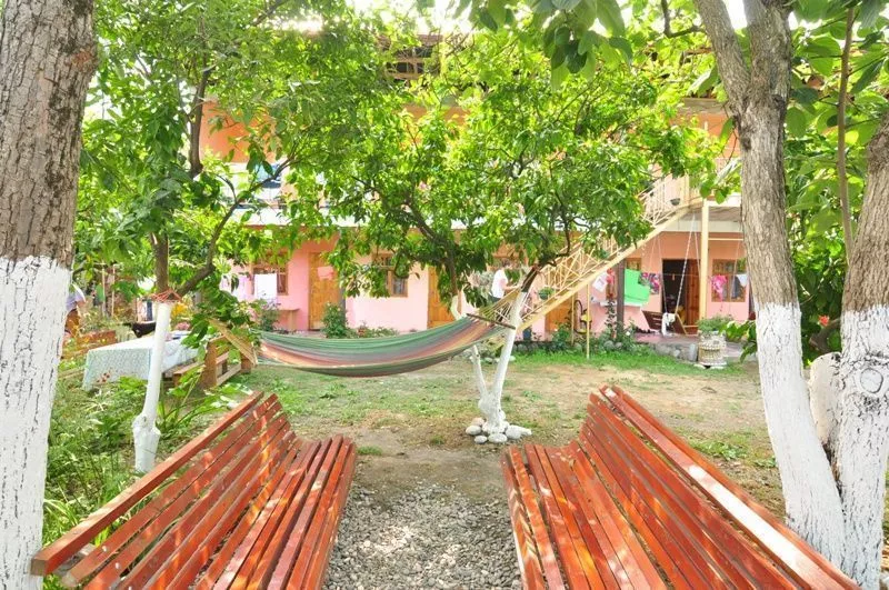 . Частный сектор "Мандаринка". Пицунда