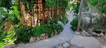 Гостевой дом «Ясеневая роща» Гостевой дом «Ясеневая роща»