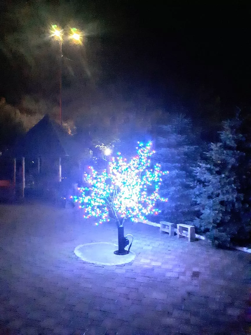 . Гостиница "Парадиз". Ольгинка